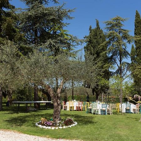 ميسانو ادرياتيكو Bed&Breakfast Il Frantoio المظهر الخارجي الصورة